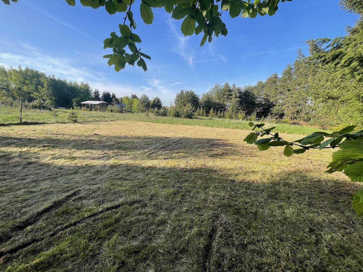 Body of water surrounded by trees